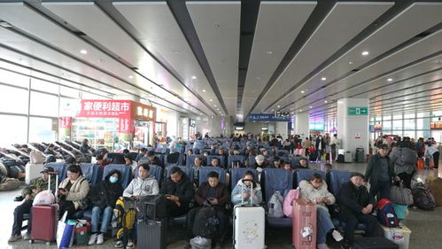 春运进行时 长沙汽车西站客流量攀升，预计2月7日迎峰值